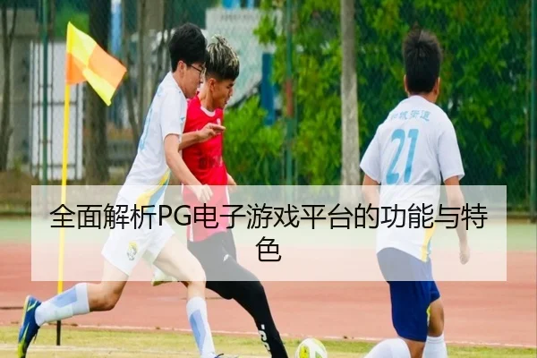 全面解析PG电子游戏平台的功能与特色