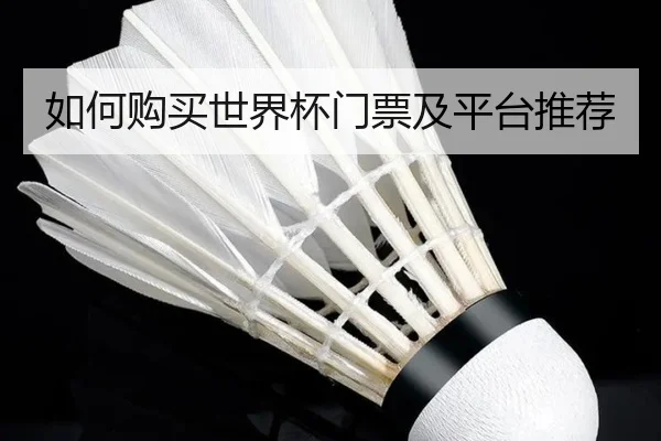 如何购买世界杯门票及平台推荐